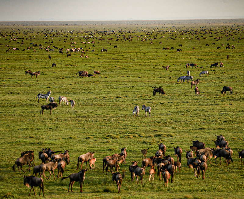 Serengeti National Park